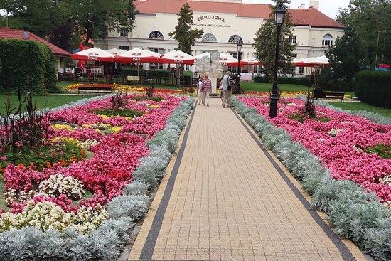 Kawiarnia Zdrojowa Cafe Ciechocinek